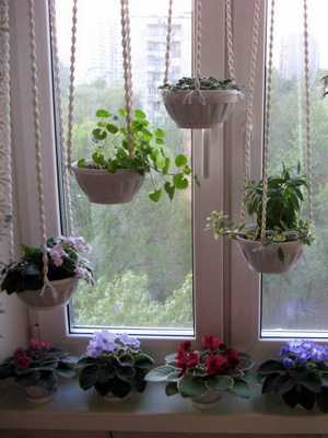 Potted flower arrangements in pots (with photo)