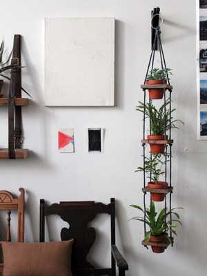How to make an indoor home garden with your own hands