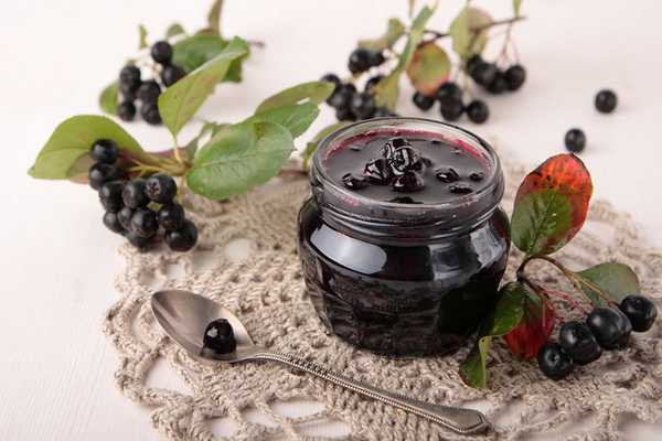 Chokeberry (chokeberry): description, care and cultivation