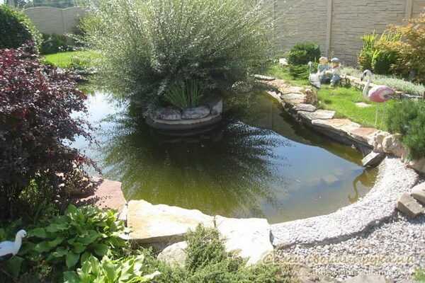 Arrangement of reservoirs in the garden with your own hands