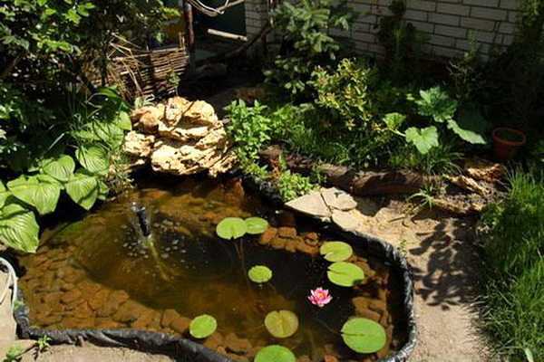 Arrangement of reservoirs in the garden with your own hands
