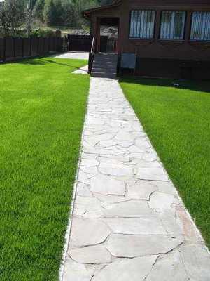 What lawn to choose for a summer residence?