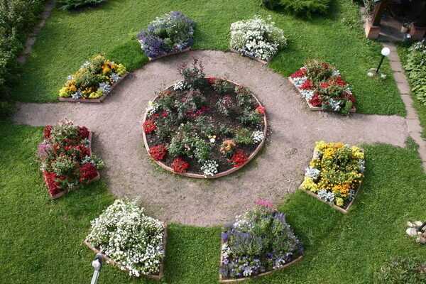 How to set up a flower garden and how to care for it
