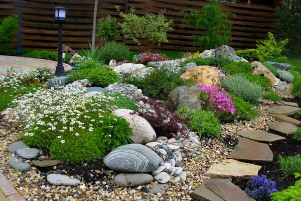 Plants for rockeries: selection and planting