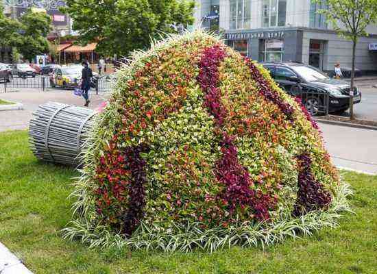 Coleus in flower topiary sculptures