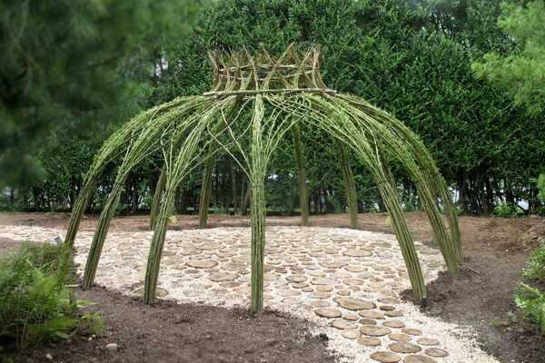 Construction of a gazebo from living trees