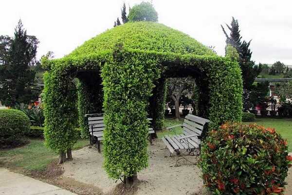 Arrangement of a green gazebo in the country