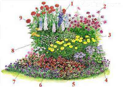 Flower bed scheme for butterflies