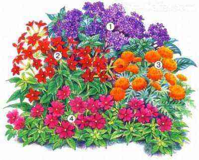 Mixed flower bed of bright flowers