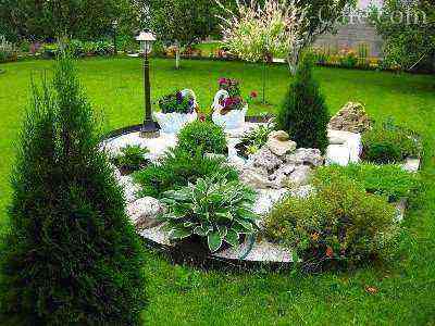 With the help of coniferous trees in the middle of the front garden, you can arrange a small rockery