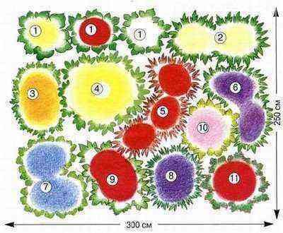Plan of arrangement of plants in a flower garden