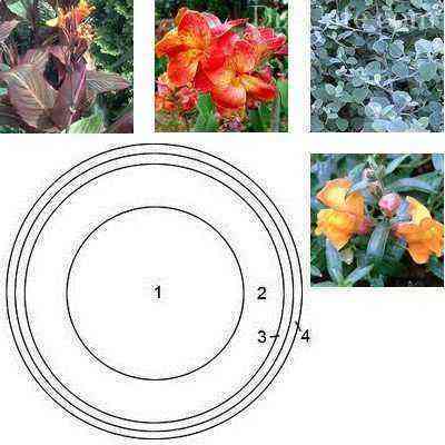 Design scheme for a simple round flower bed with a selection of plants