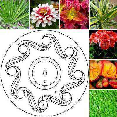 The scheme of flower bed design "Fancy pattern" with a selection of plants