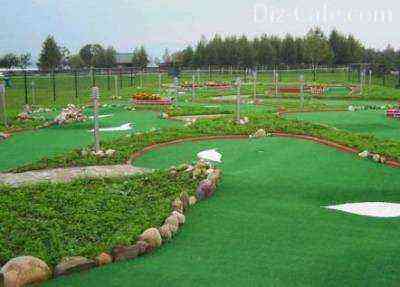 Lawn for decoration