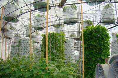 Aeroponics on an industrial scale
