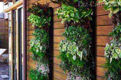 Jardinería vertical de la pared.