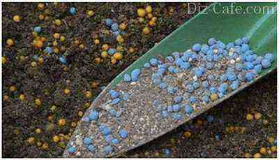 Mineral fertilizers in granules