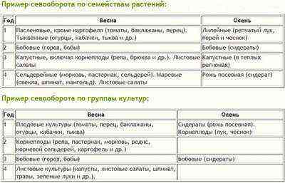 Summary table of vegetable crop rotation