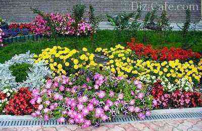 The traditional design of the flower bed