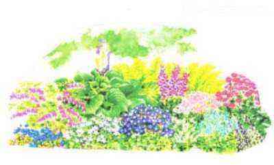 Flower bed drawing