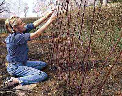 The process of constructing a trellis from twigs