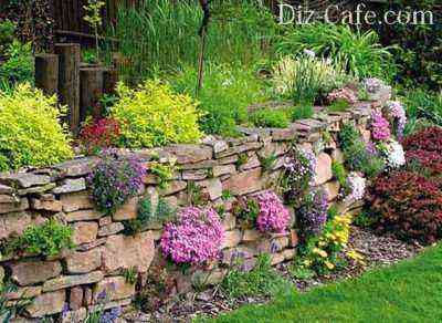 Rock garden rocky wall