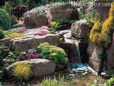 Rock garden with a waterfall