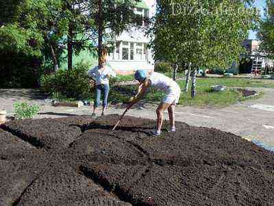 Creating a flower bed