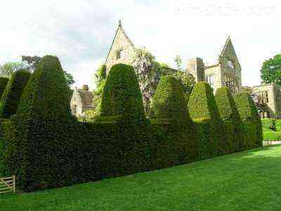 Molded hedge