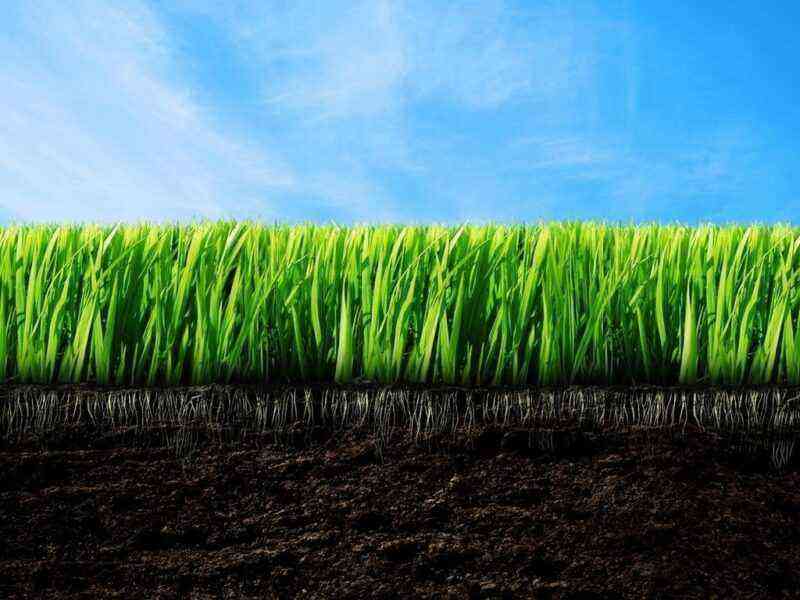 What determines the fertility of the soil or how to care for the soil in the country