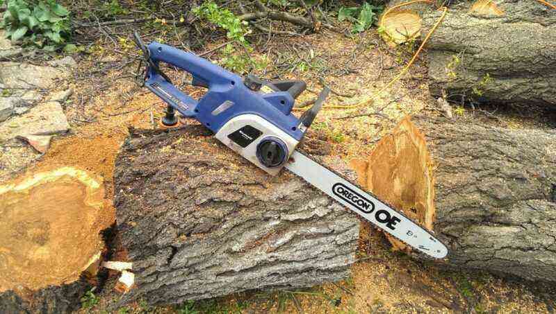 How to properly cut a tree with a chainsaw: safety rules when felling trees