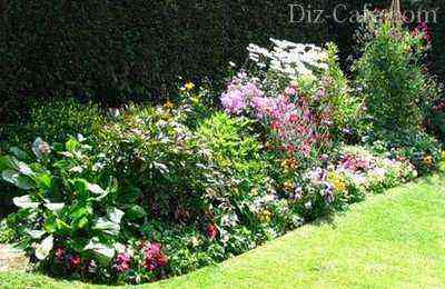 Multilevel flower garden in a sunny area
