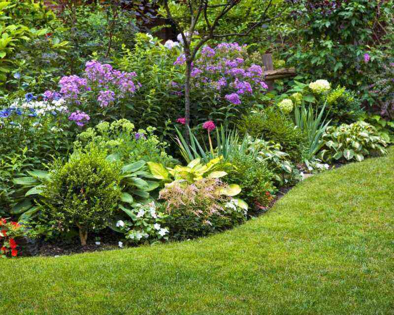 Perennial flower bed: selection of colors + design