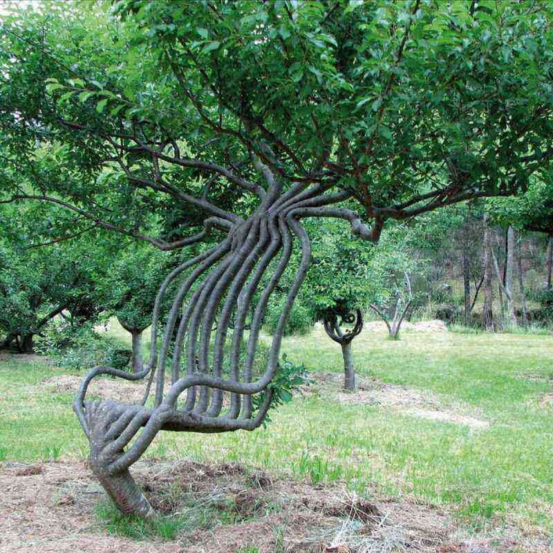 Country design with exotic: the technique of creating arbosculptures from trees