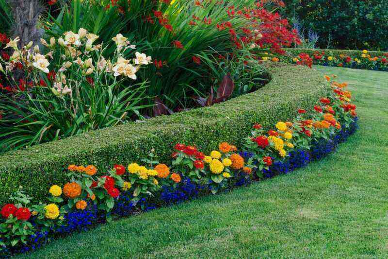 Making flower beds in the country with your own hands: basic rules and landing schemes