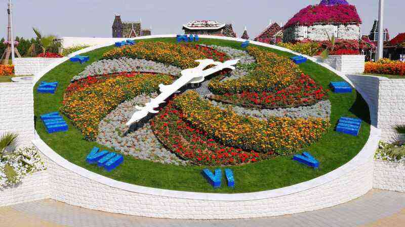 How to make a “flower clock” on your site: unusual decor from Karl Linnaeus