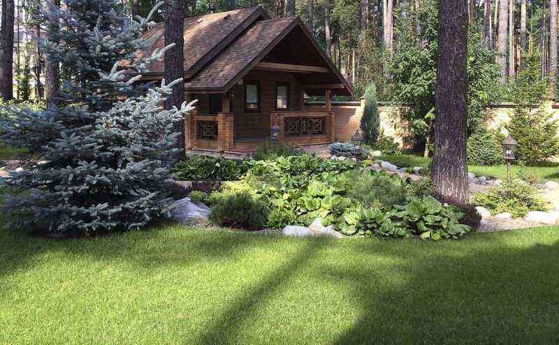 41 ideas for applying Naturgarden style in landscape design (photo)