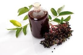 Elderberries: Red, White and Blue
