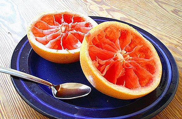 Grapefruit Growing and Care Benefits