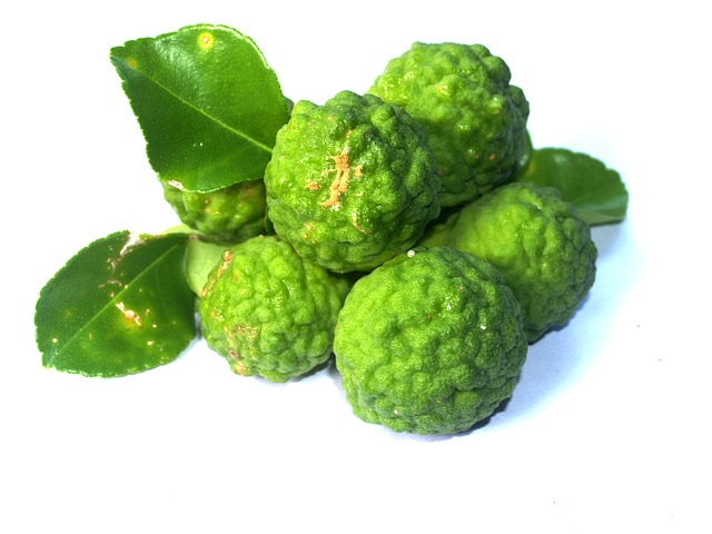 Bergamot cultivation and care