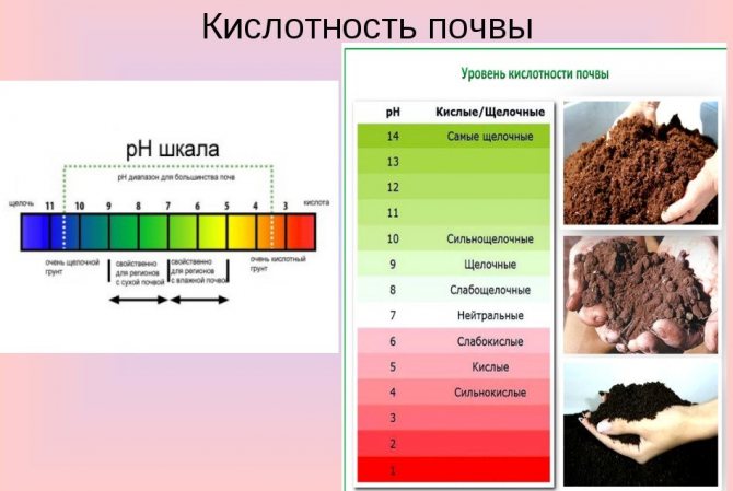 Acidity of different types of soil