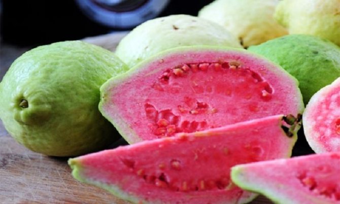 guava photo