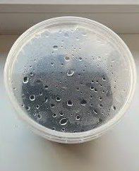 Condensation formed in a container with persimmon sprout