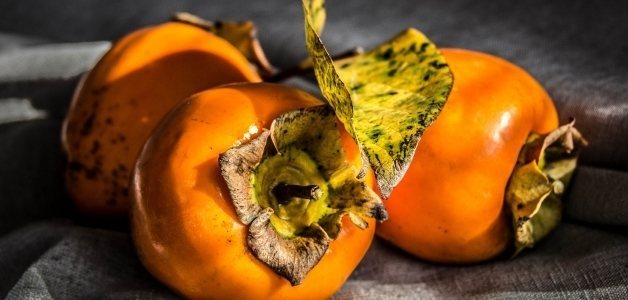 We grow persimmon from a stone at home