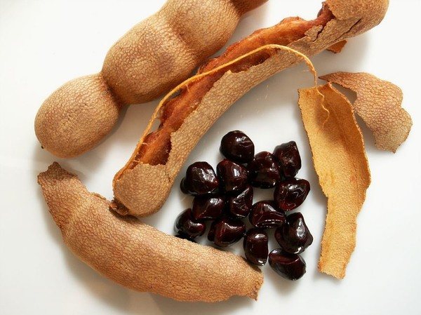 Indian tamarind: description, use and growing at home
