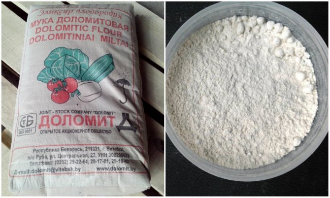 Dolomite flour to reduce soil acidity.jpg
