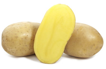 Line of varieties from NORIKA - high and high-quality potato yield