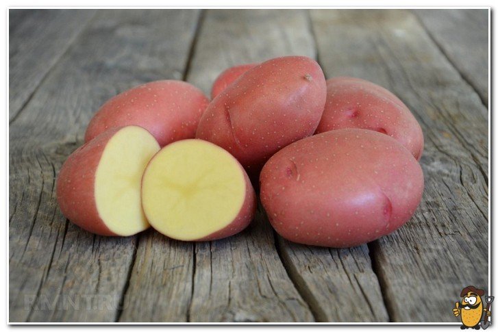 rosara potatoes