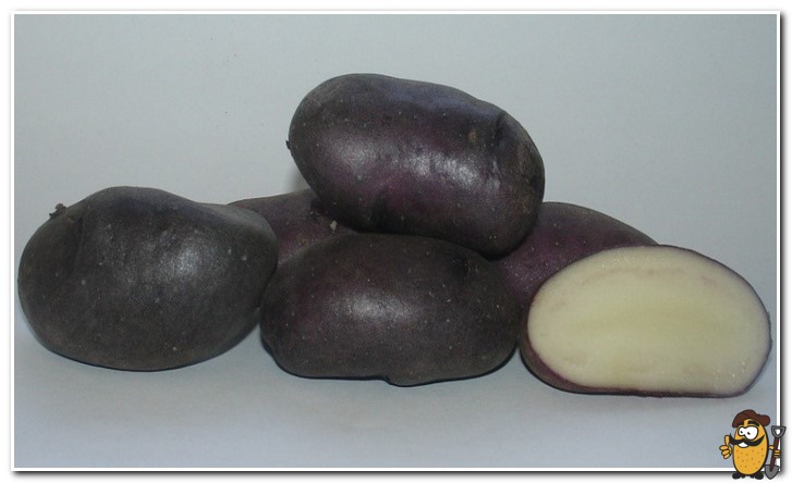 cast iron potatoes