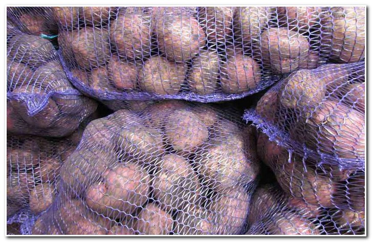 storing Romano potatoes